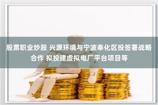 股票职业炒股 兴源环境与宁波奉化区投签署战略合作 拟投建虚拟电厂平台项目等